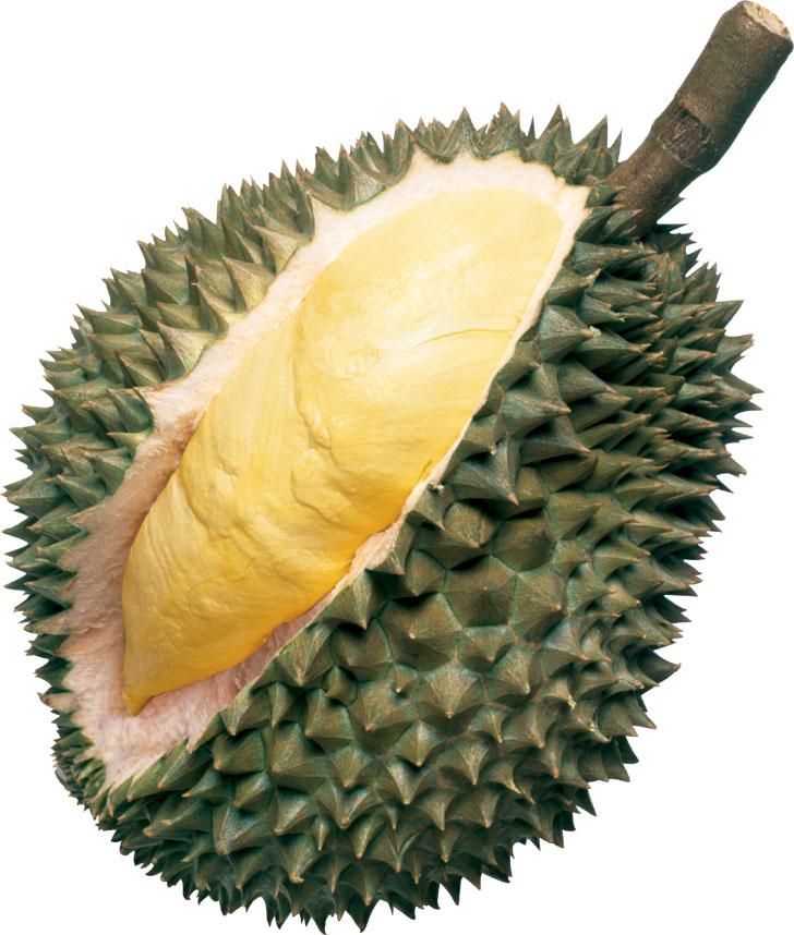 durian.jpg - 83.02 KB